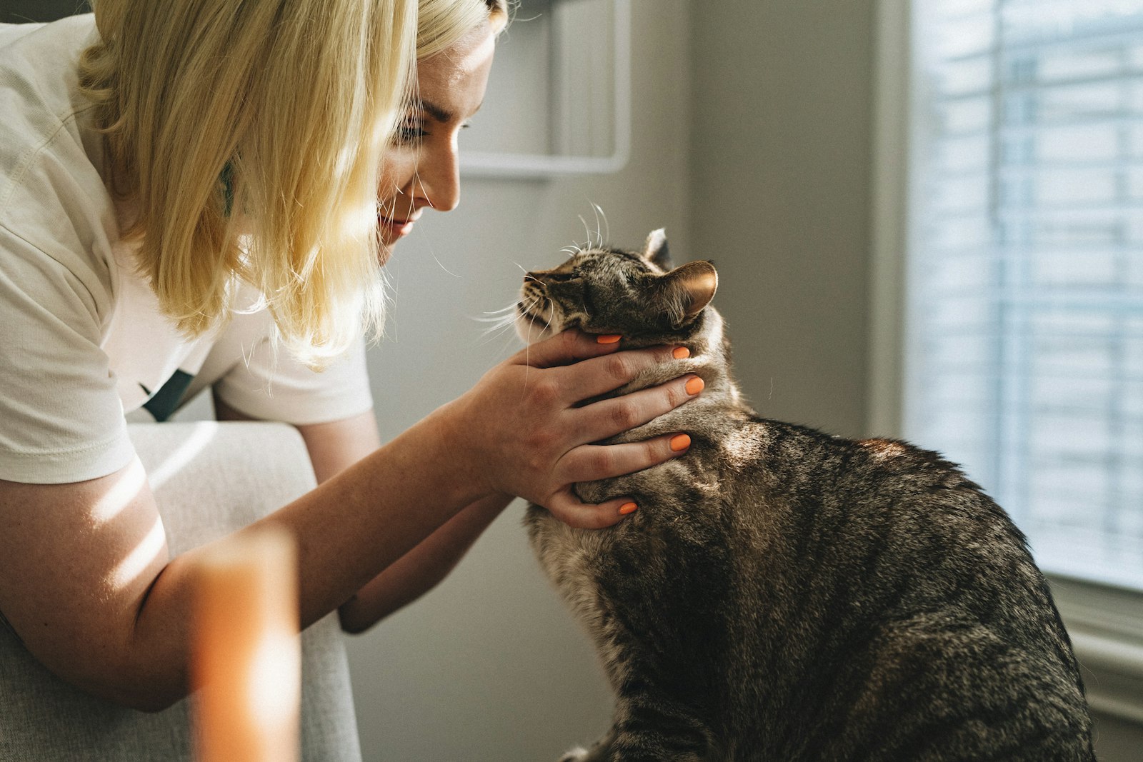 En djurägare som håller sin katt i varmt ljus vid fönstret
